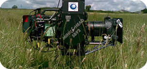 Scorpio head in long grass